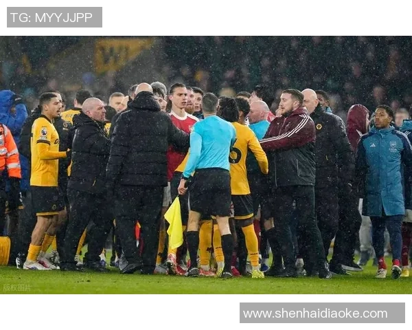 英超激战波尔图逆转热刺点球争议引发全场热议